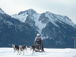 EM Schlittenhunderennen 2017 Inzell..